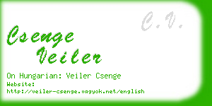 csenge veiler business card